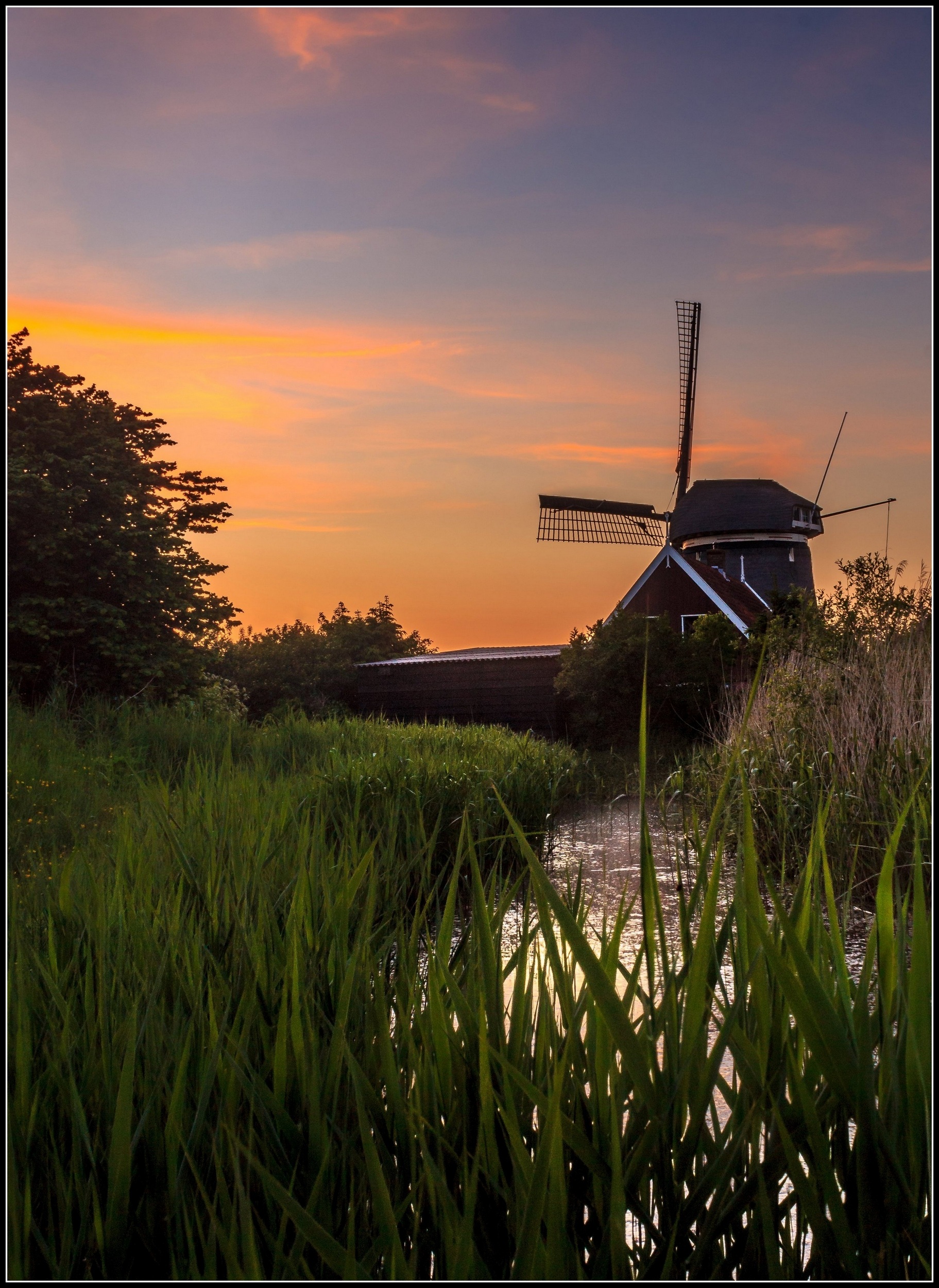 Viaanse molen.