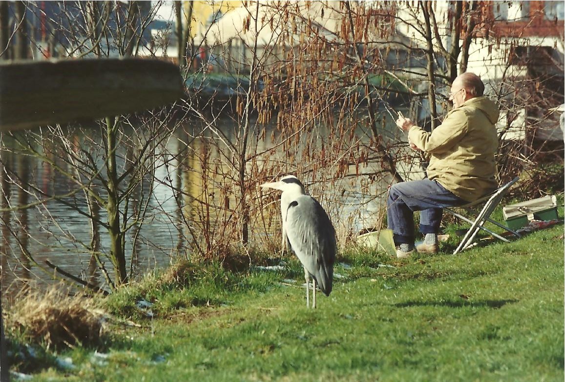 Reiger