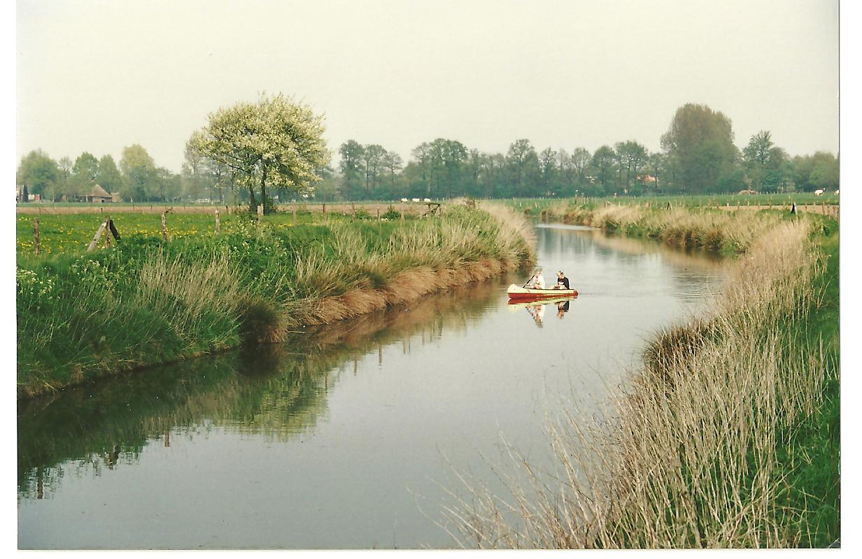 Male Wetering