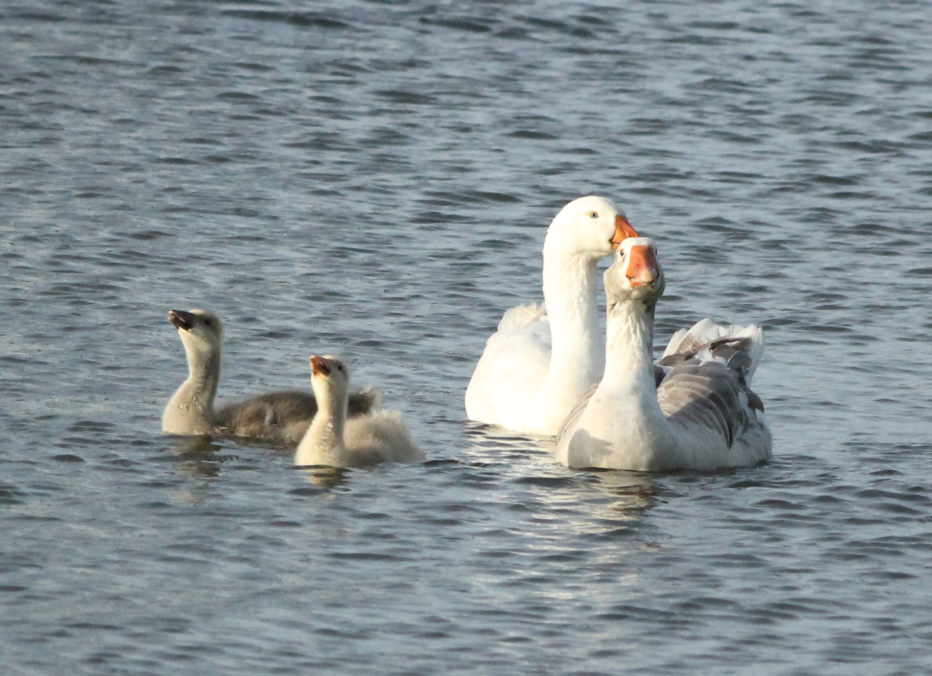 Nog even genieten van de avondzon