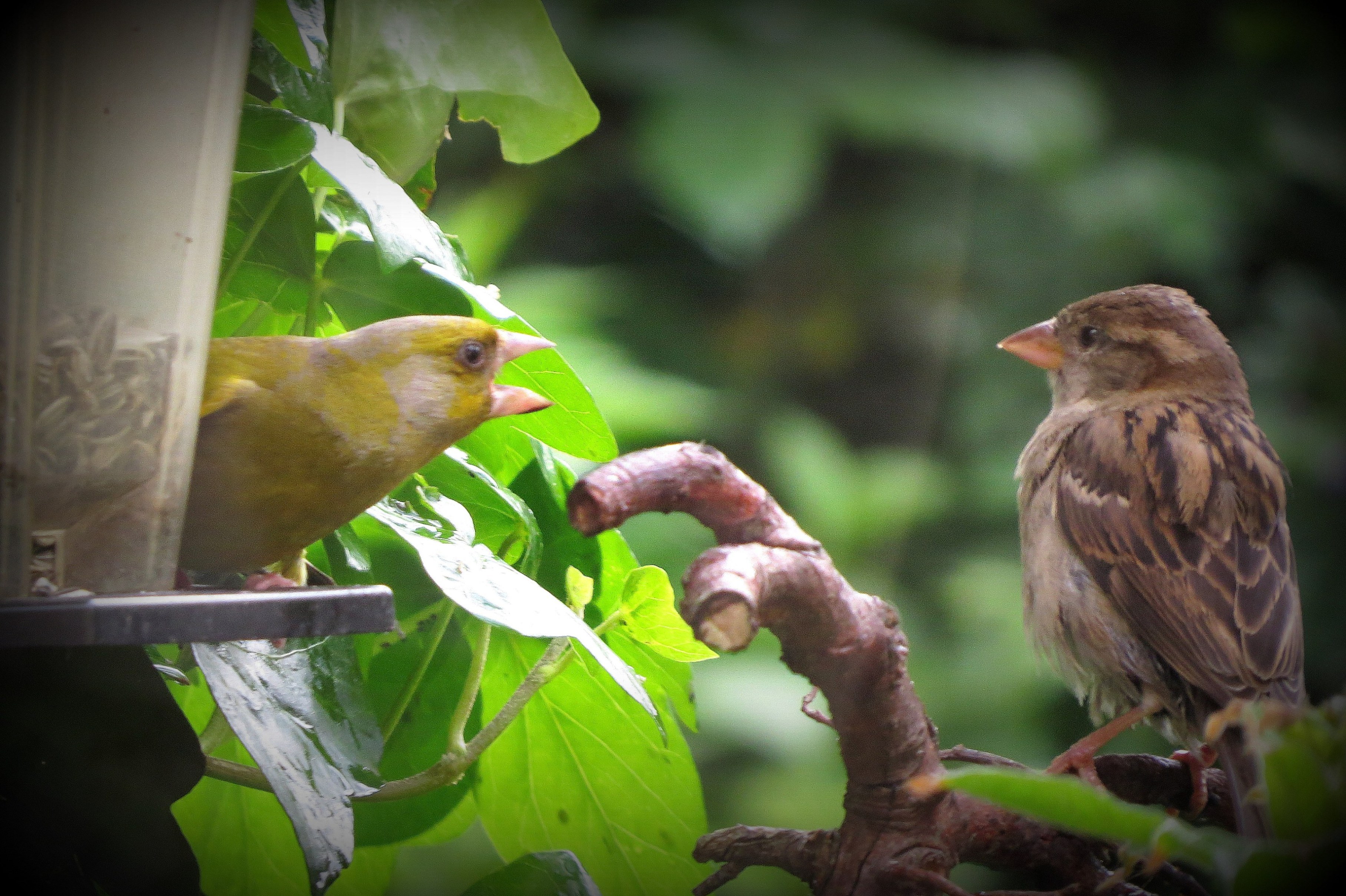 Op je beurt wachten!