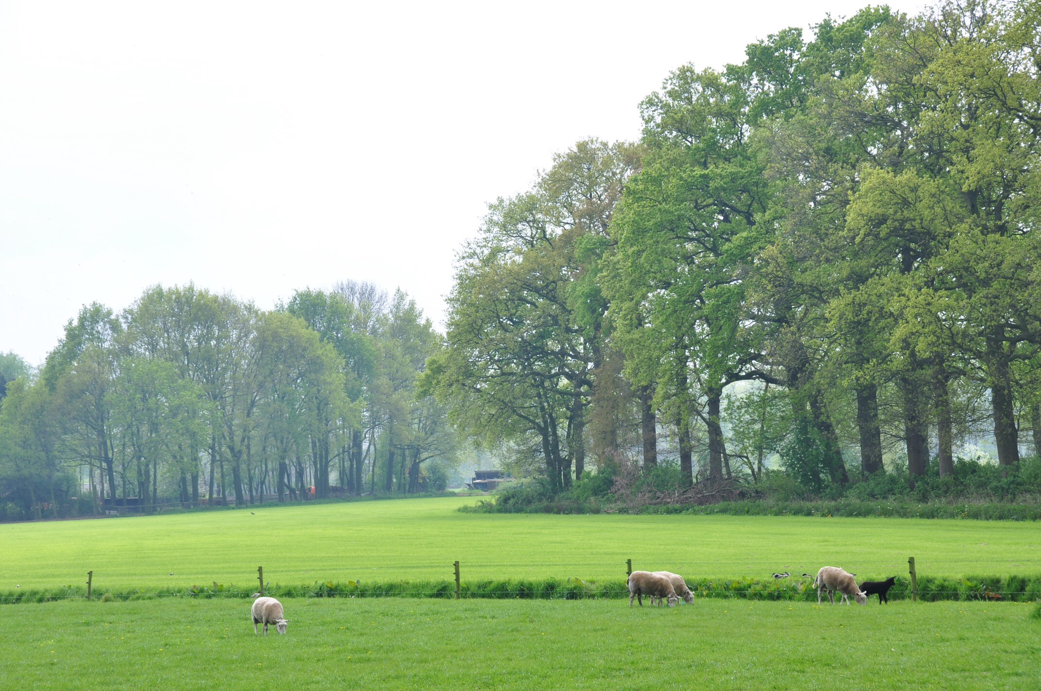 Mooi landschap