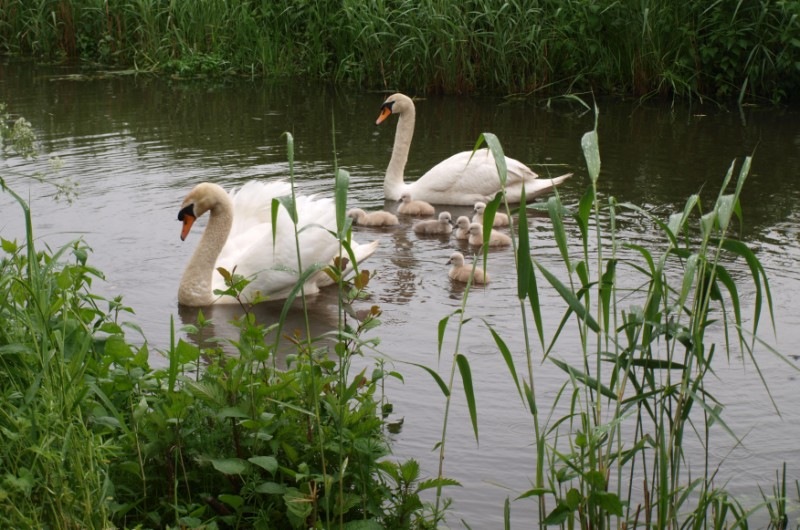 Lekker met papa en mama op stap.