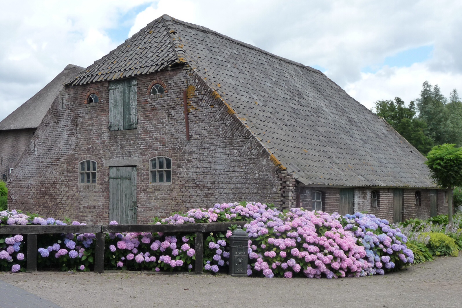 Oude schuur met hortensia