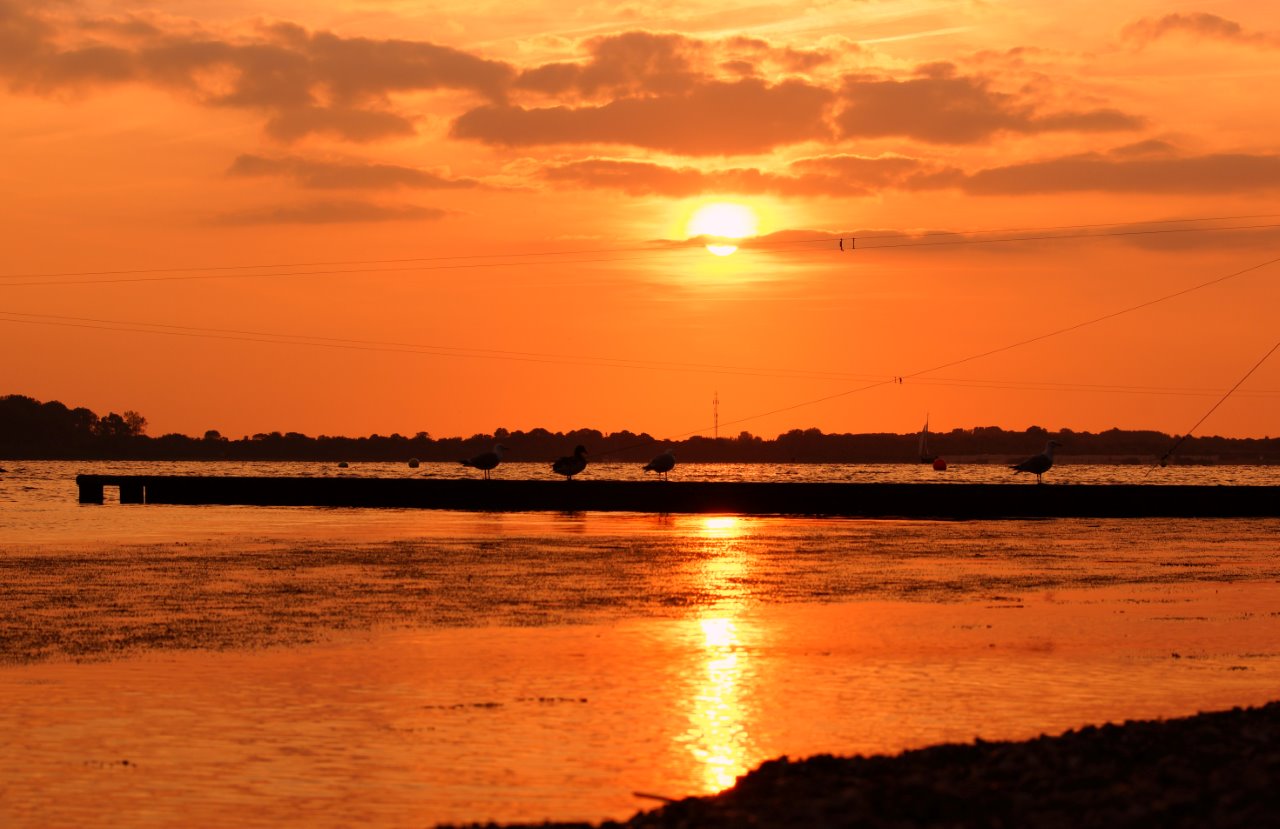 groetjes uit Zeeland 