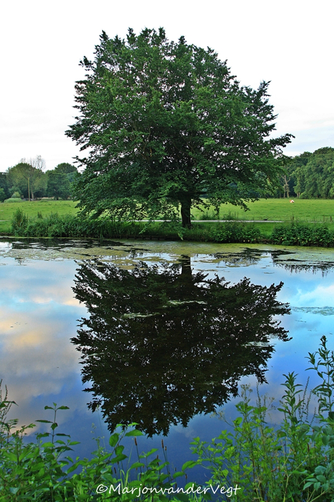 weerspiegeling