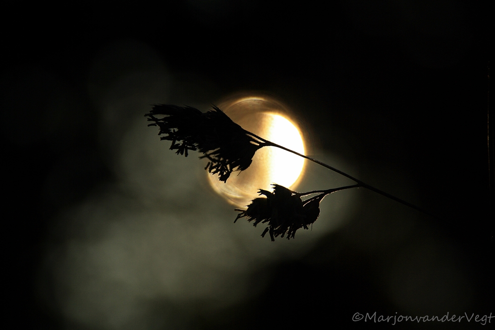 Langzaam werd 't donker