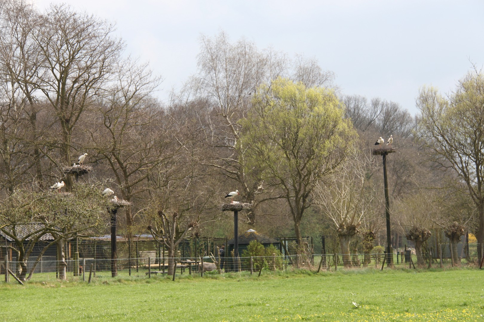 Ooievaars buitenstation