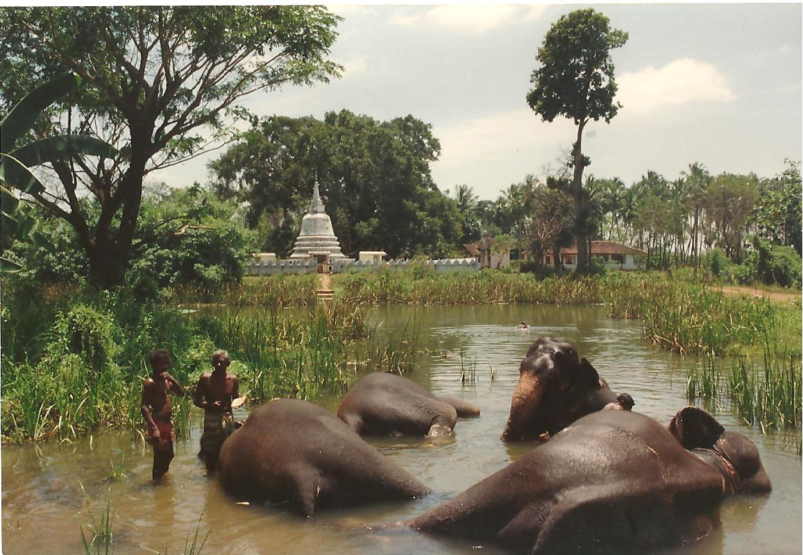 Dorpsgezicht met heiligdom