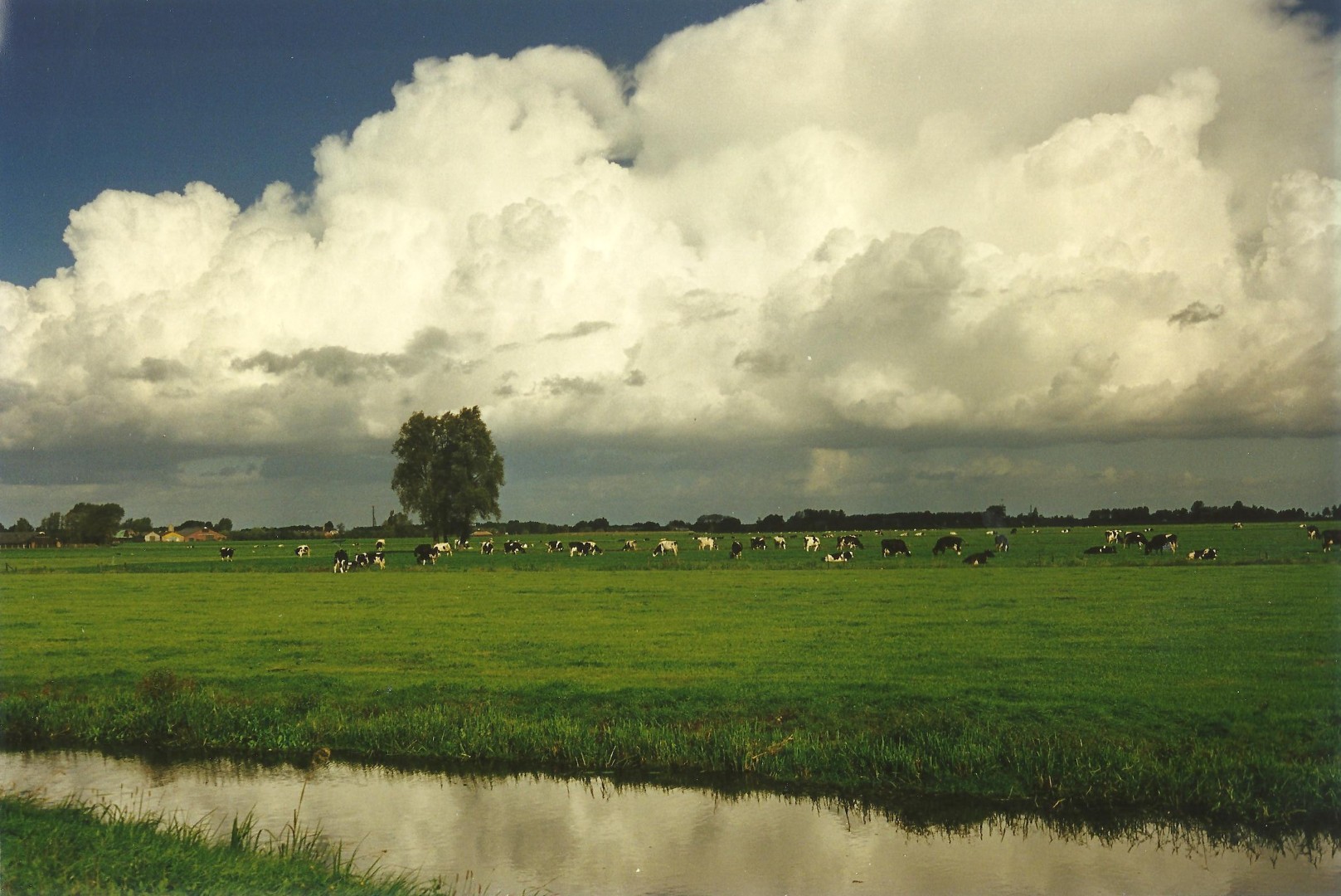 Polder Zeldert