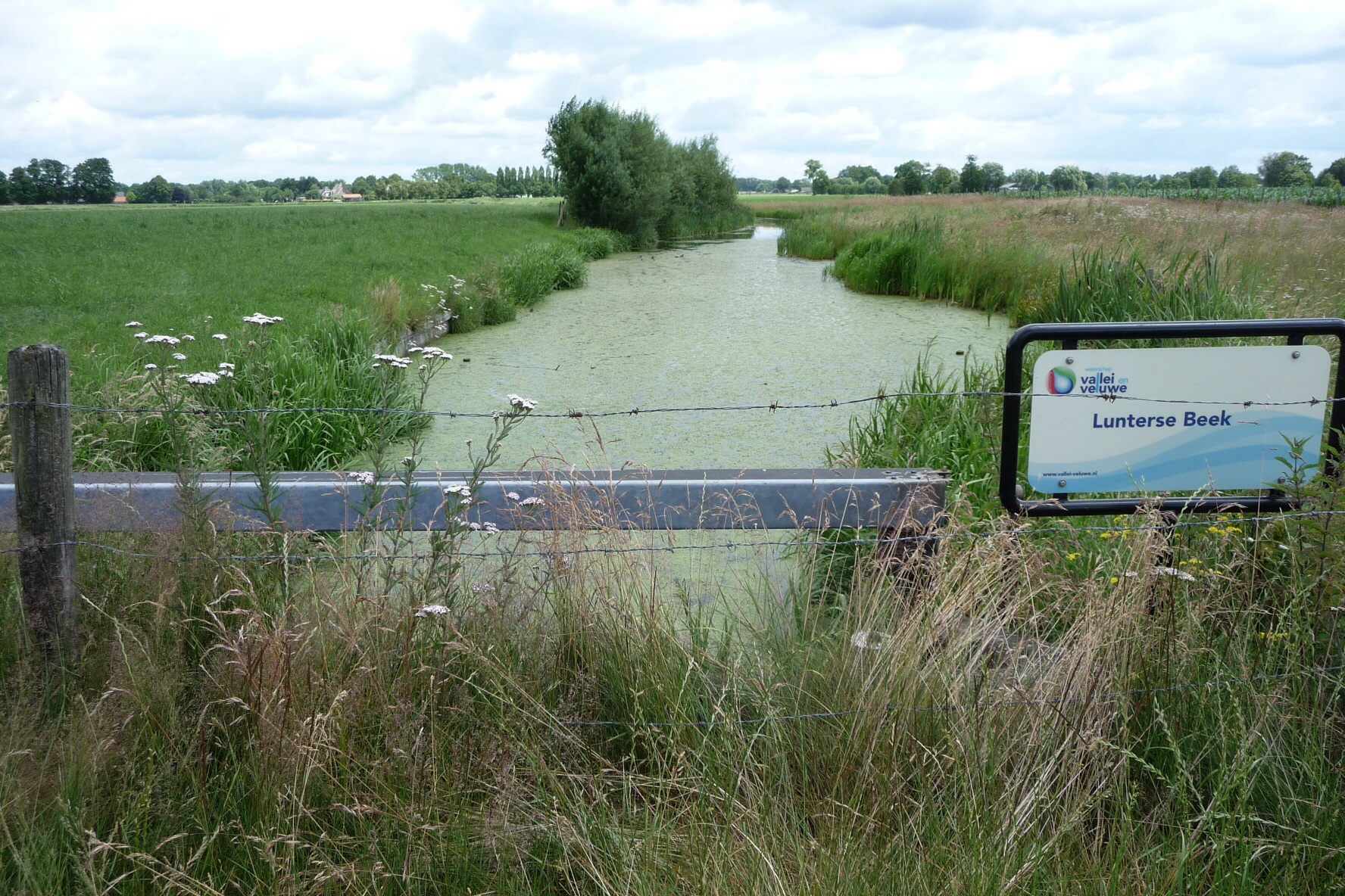 Lunterse Beek Renswoude