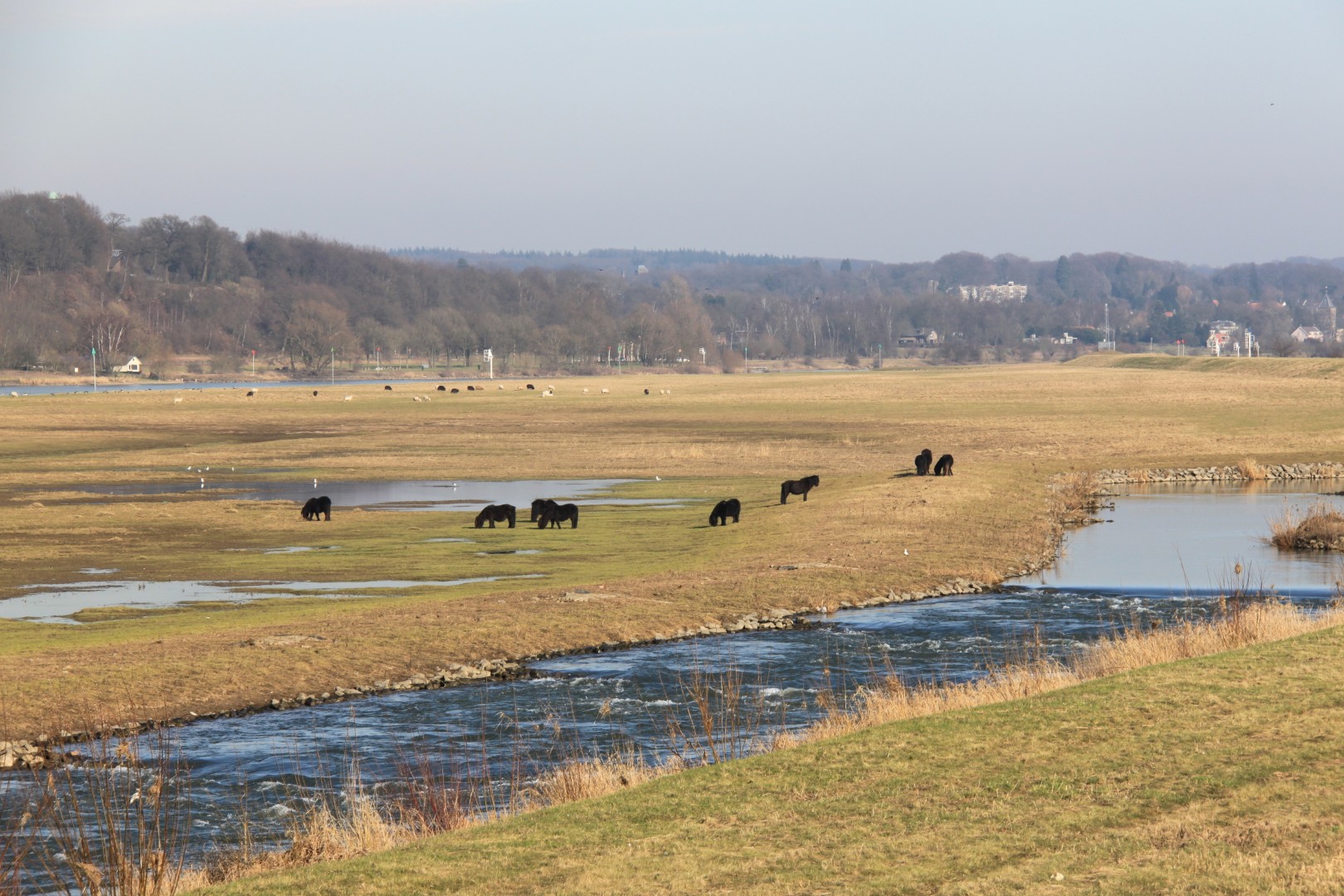 Stuw en vistrap Driel