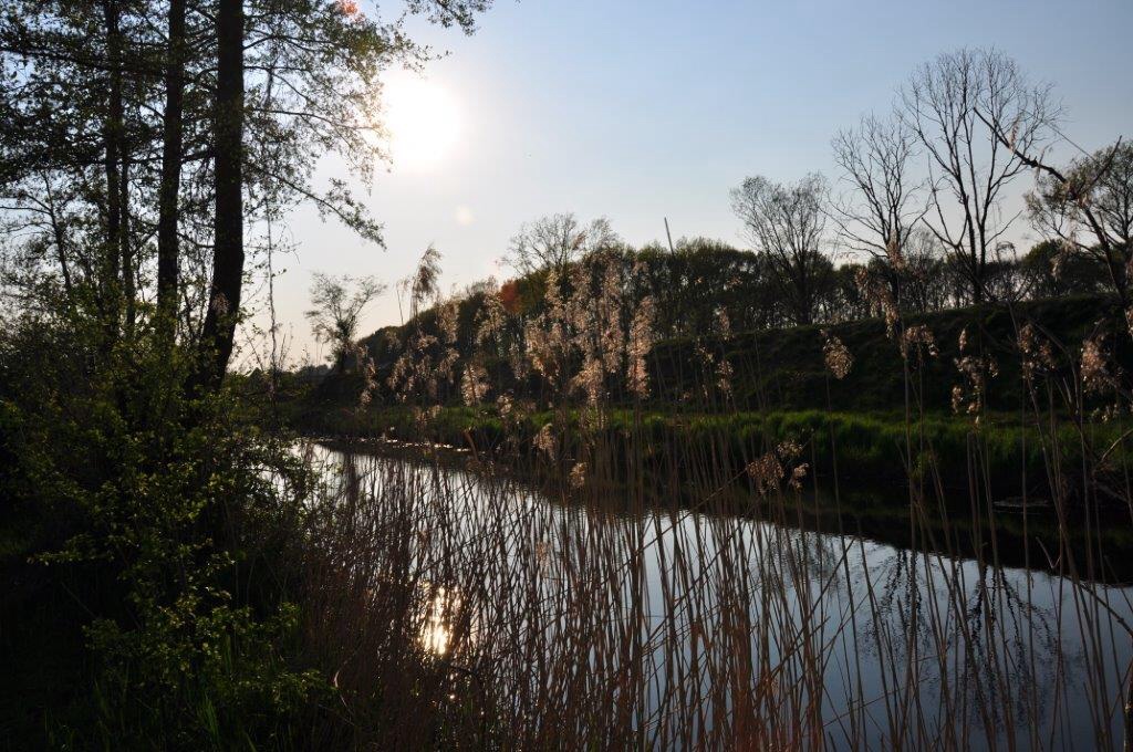 Werk aan de Daatselaar