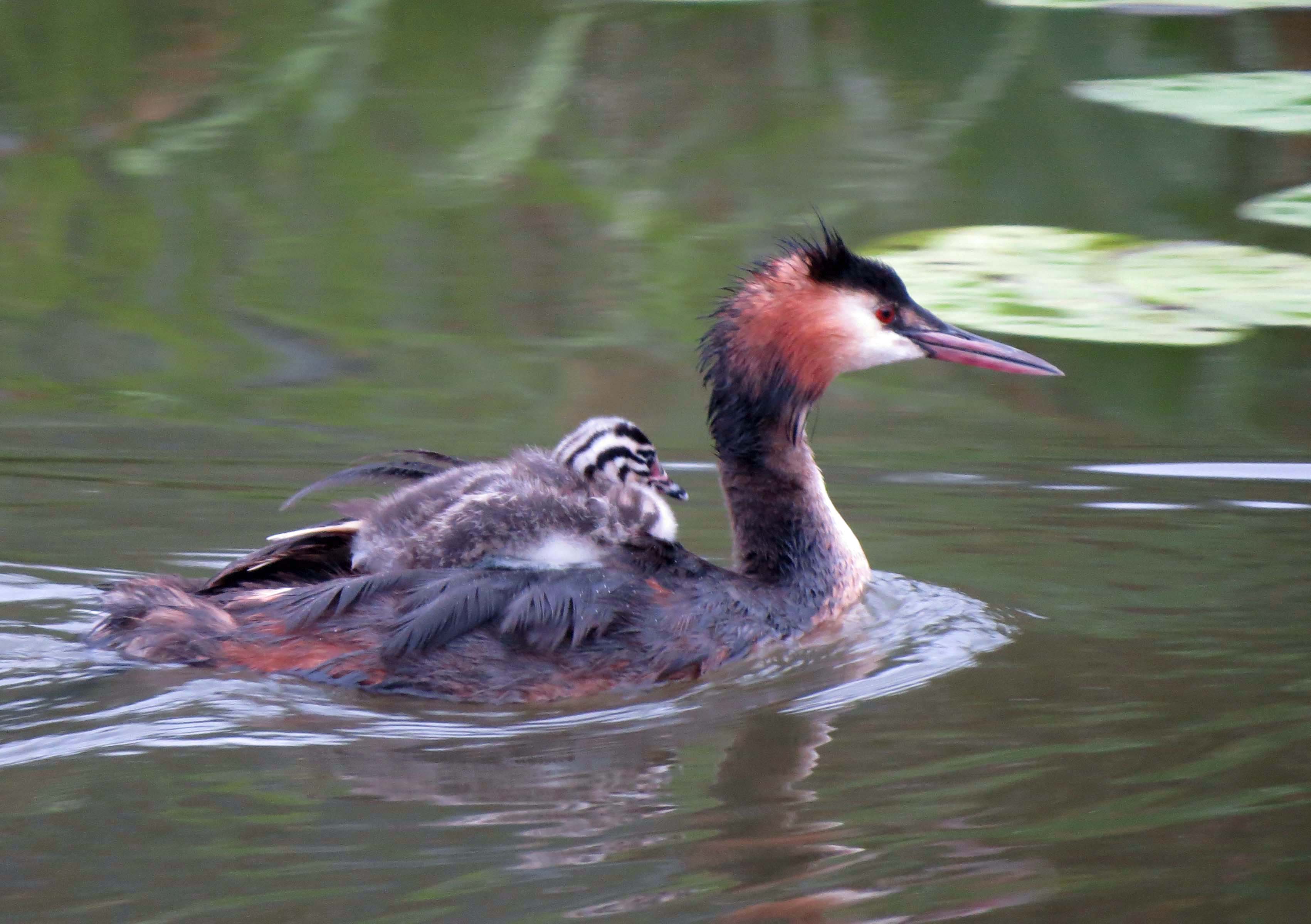 Blijft een mooi gezicht..