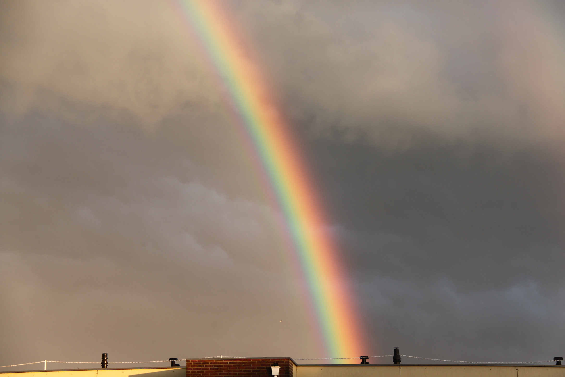 Regenboog