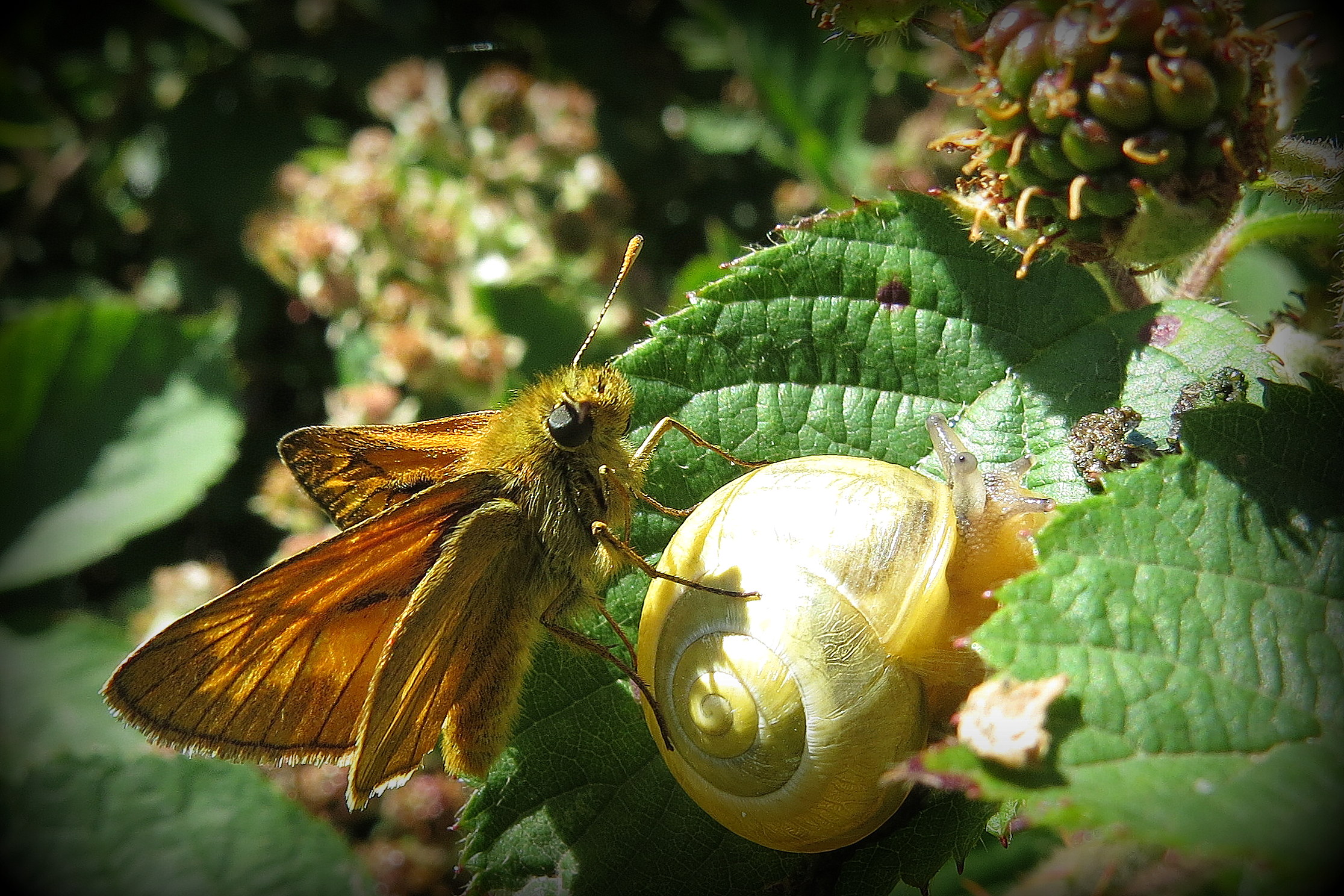 Een eindje meeliften