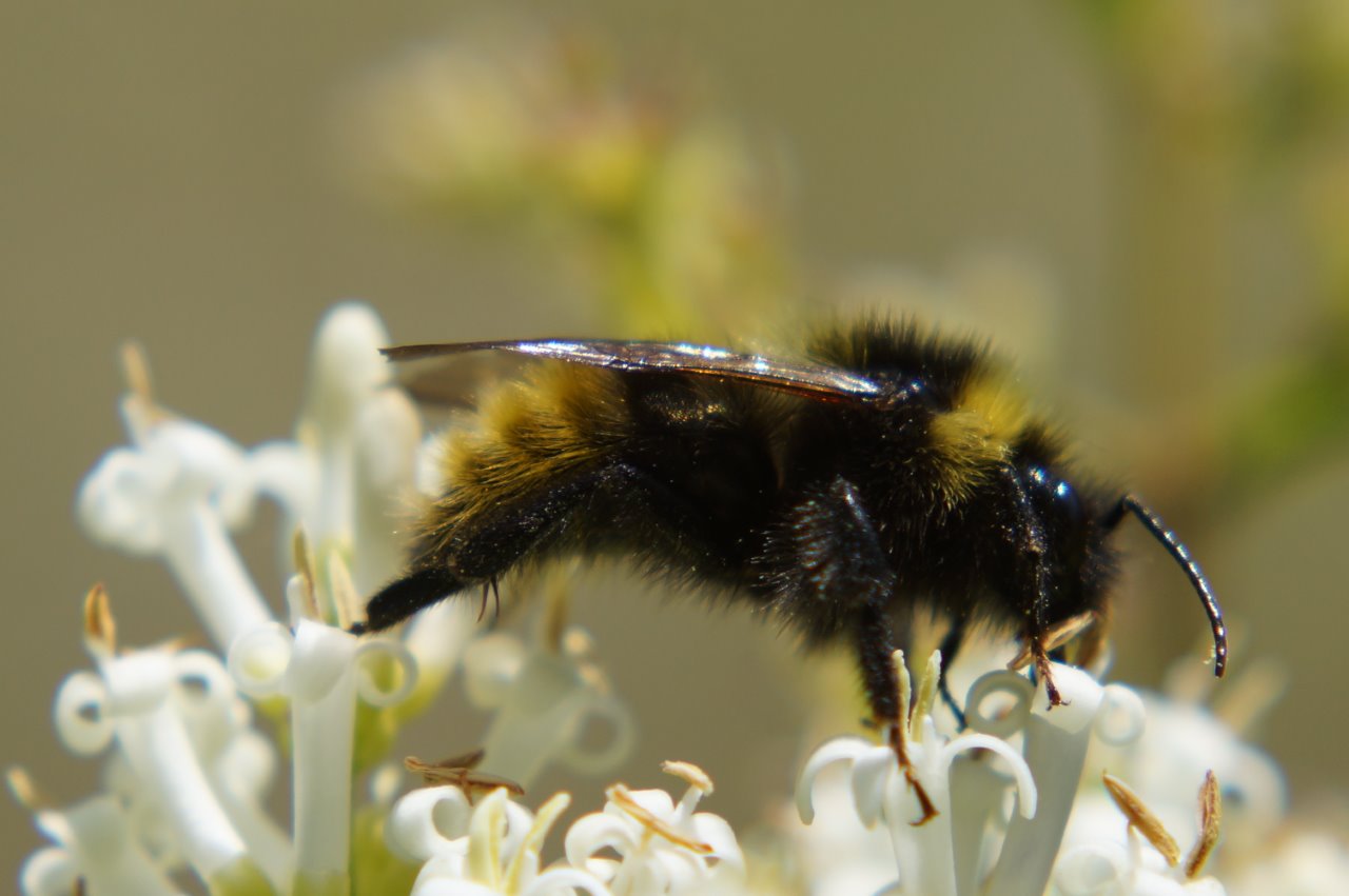 De overstap is gelukt 