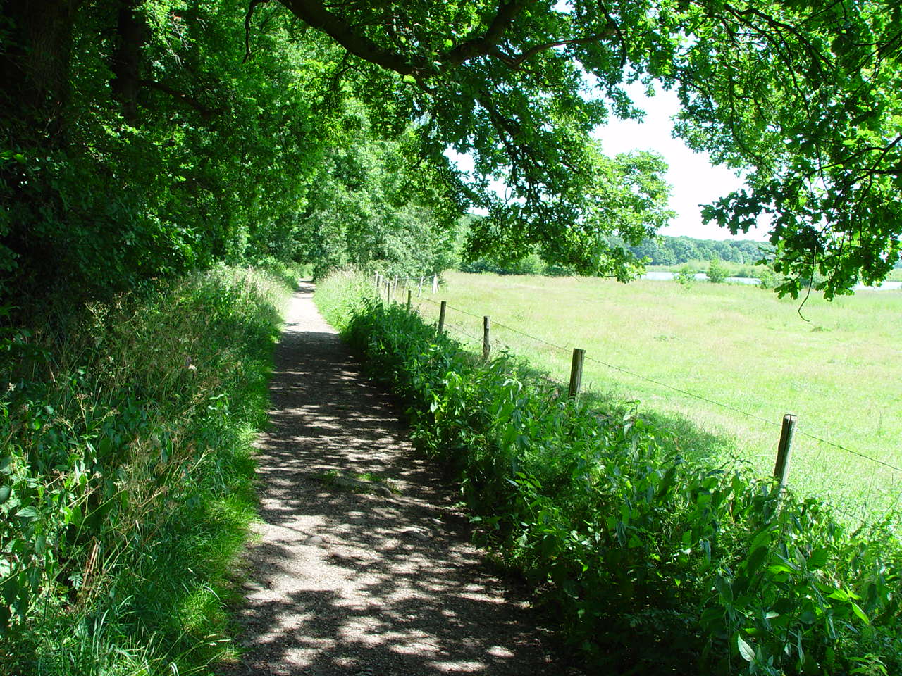 Amerongse Bovenpolder