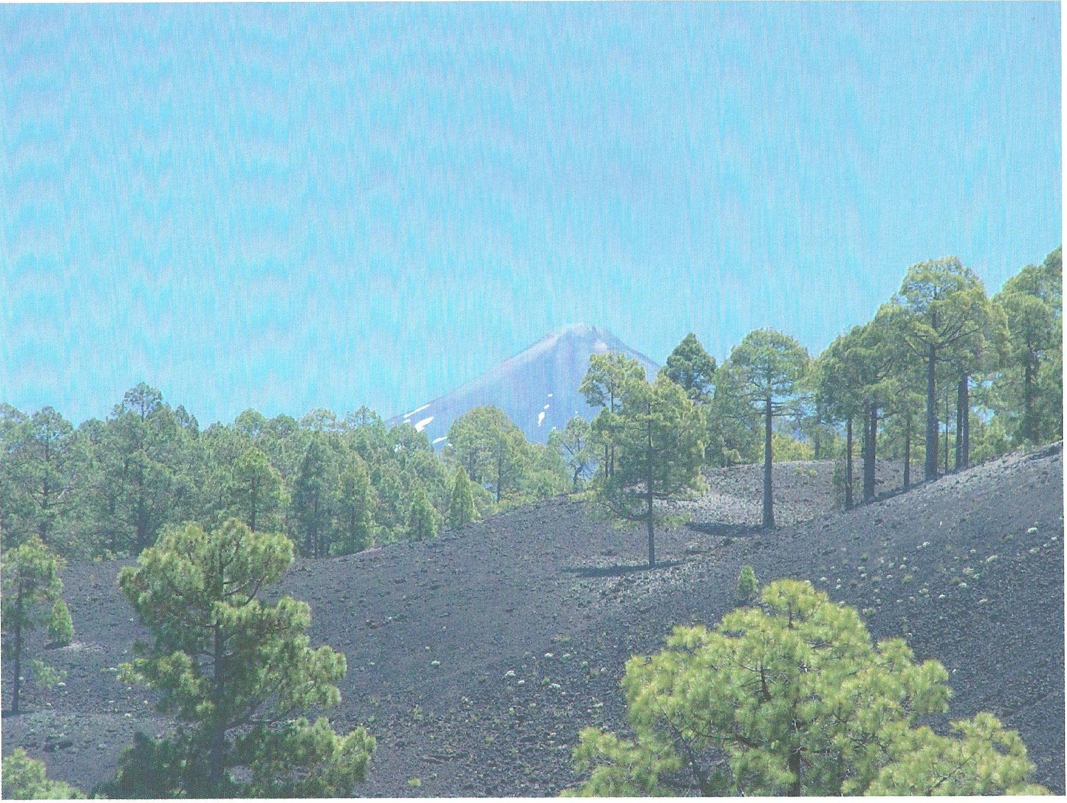 Parque Nacional del Teide
