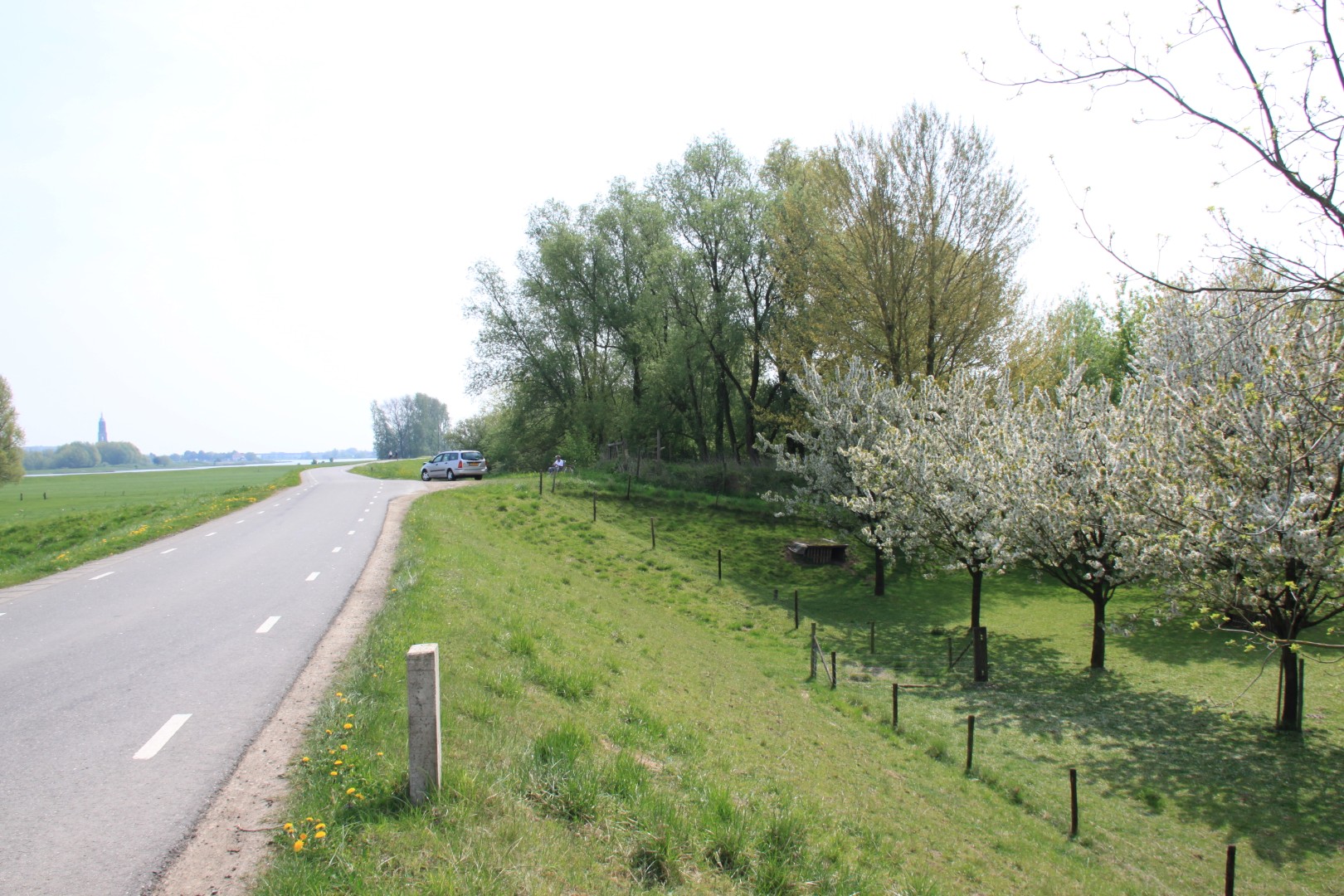 Bloeiende boomgaarden