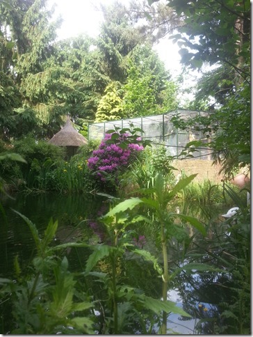 Tuin
