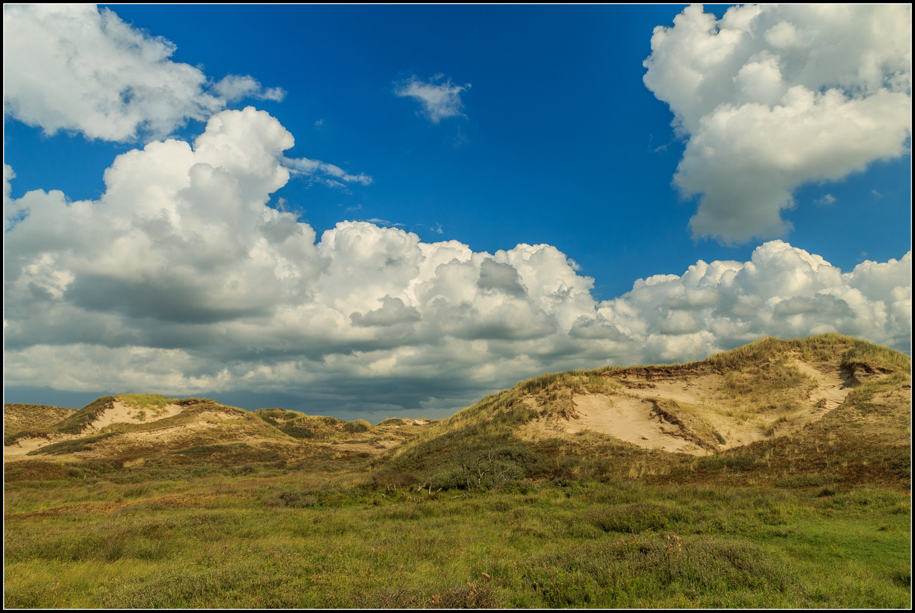 Duinen.