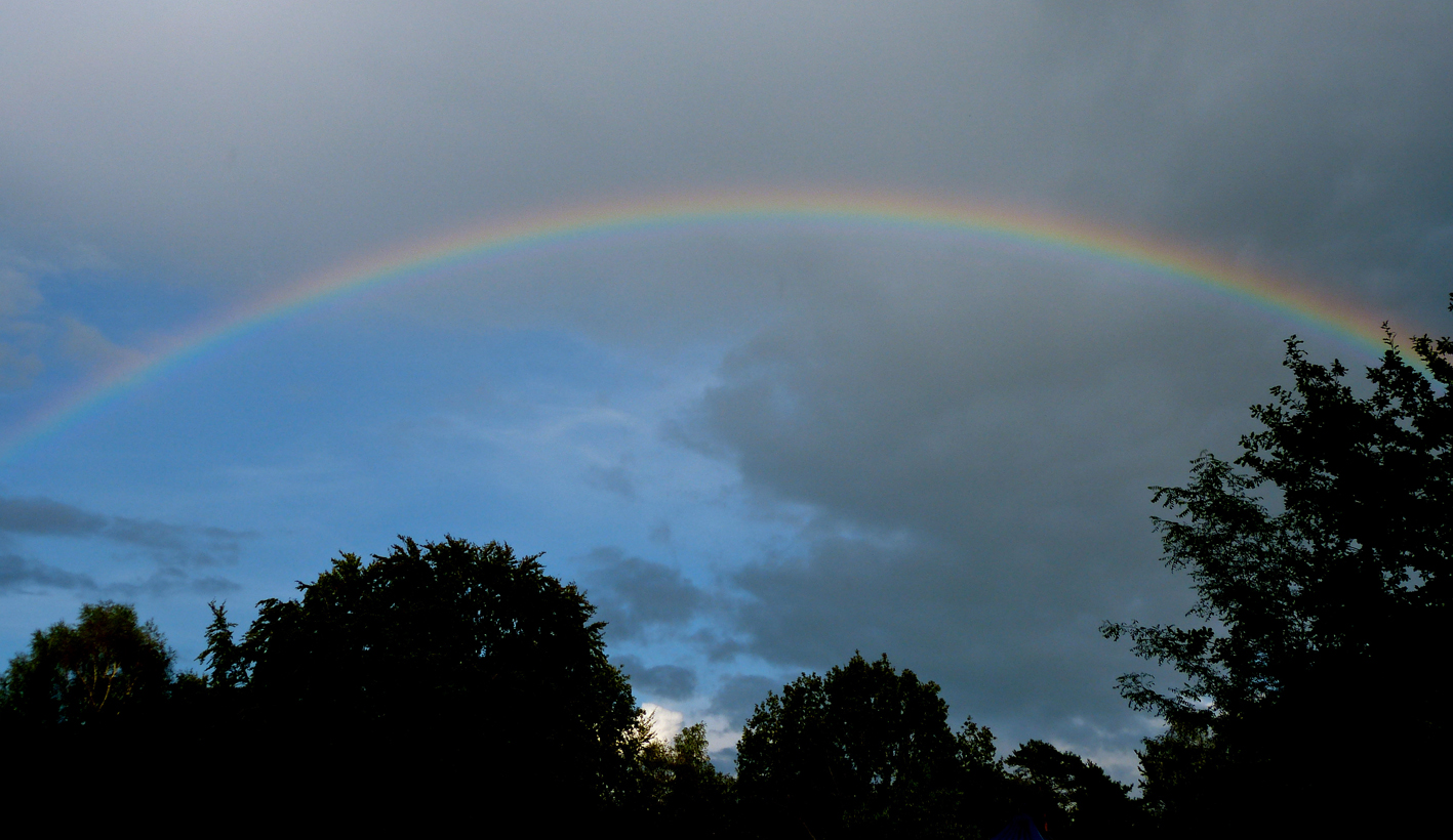 regenboog