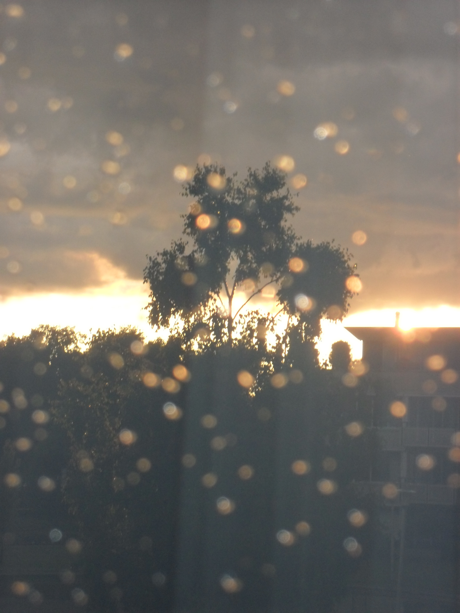 Na regen komt.............