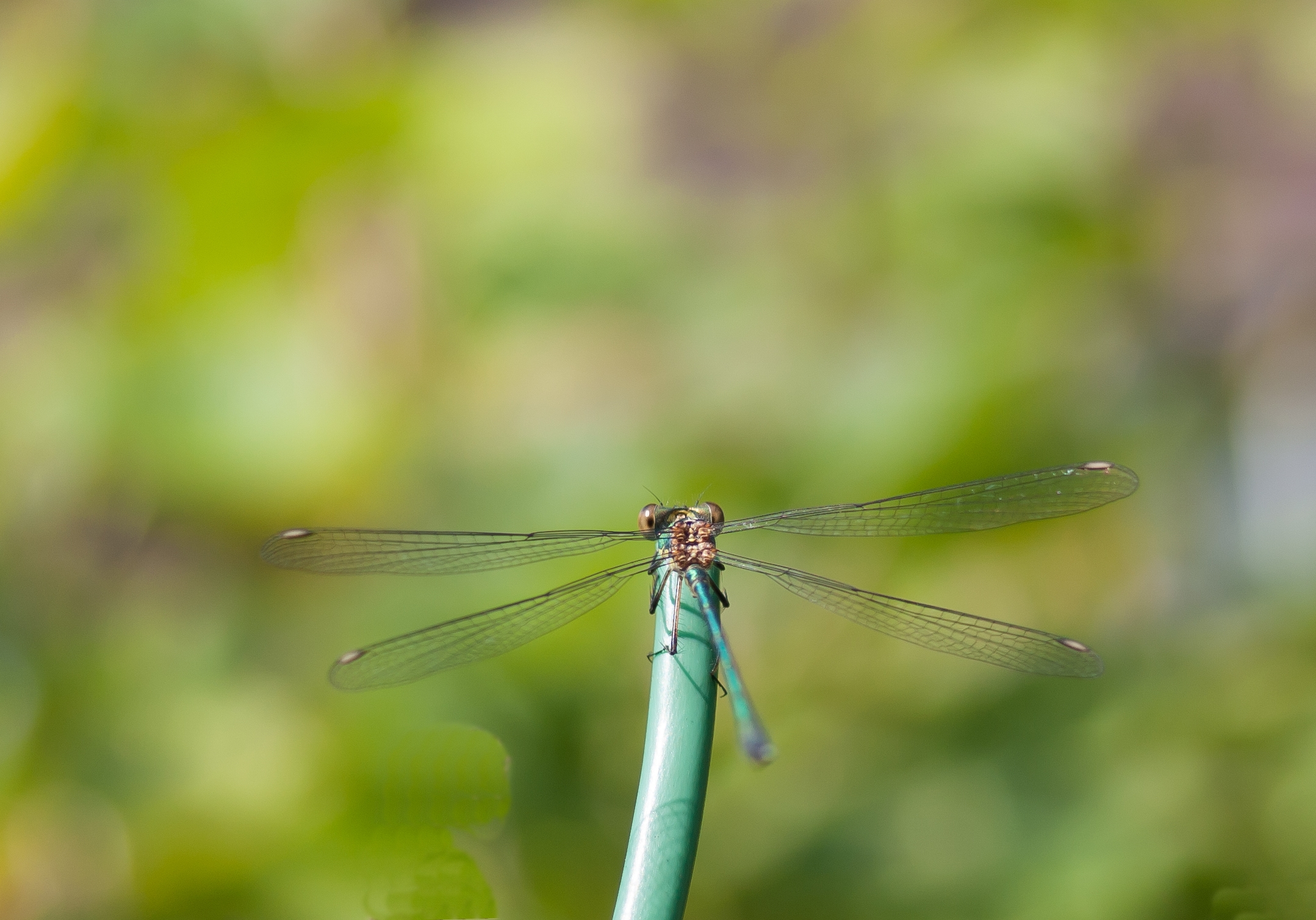 Ik zie ik zie wat jij niet ziet,...