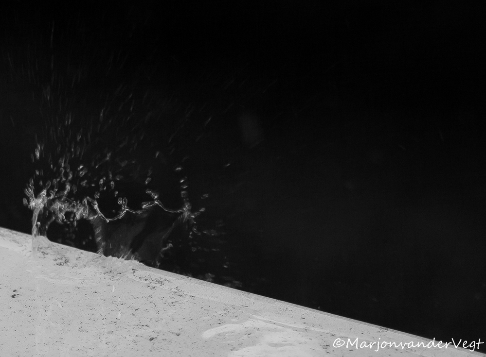 Van de regen in de ...