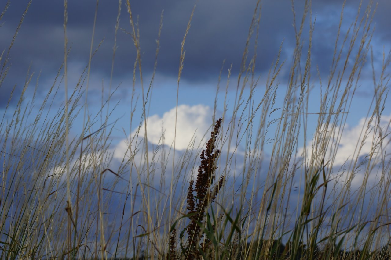 Wat brengen die wolken 