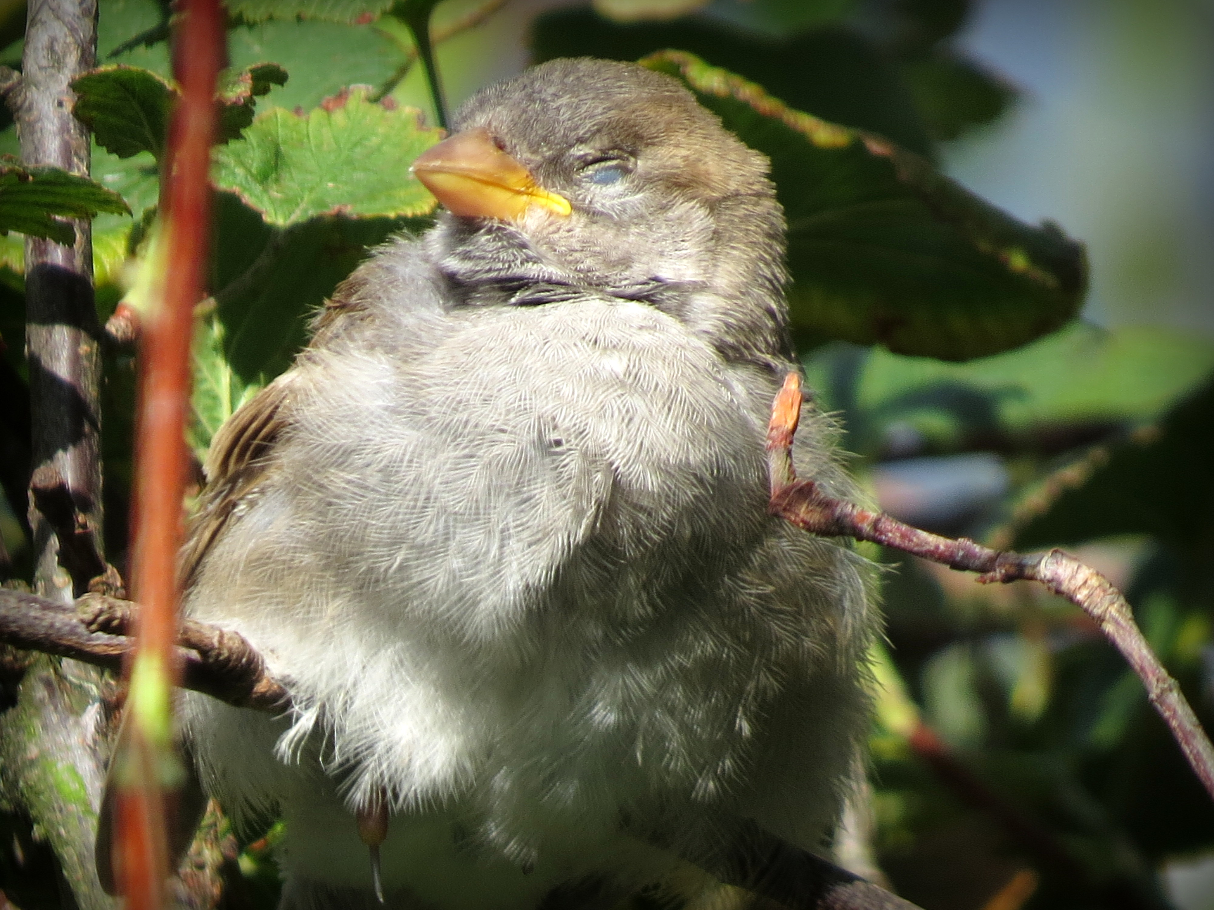 Hmm..daar is het zonnetje!