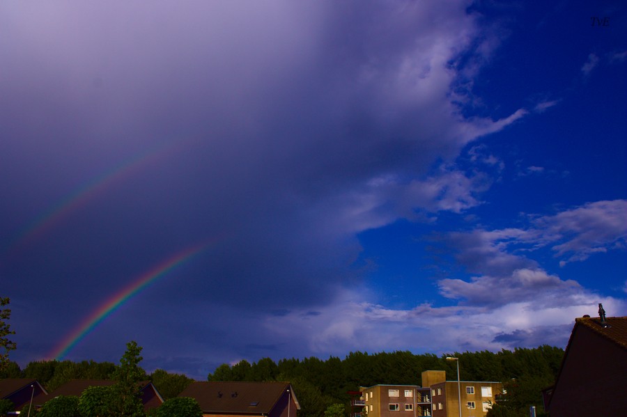 regenboog