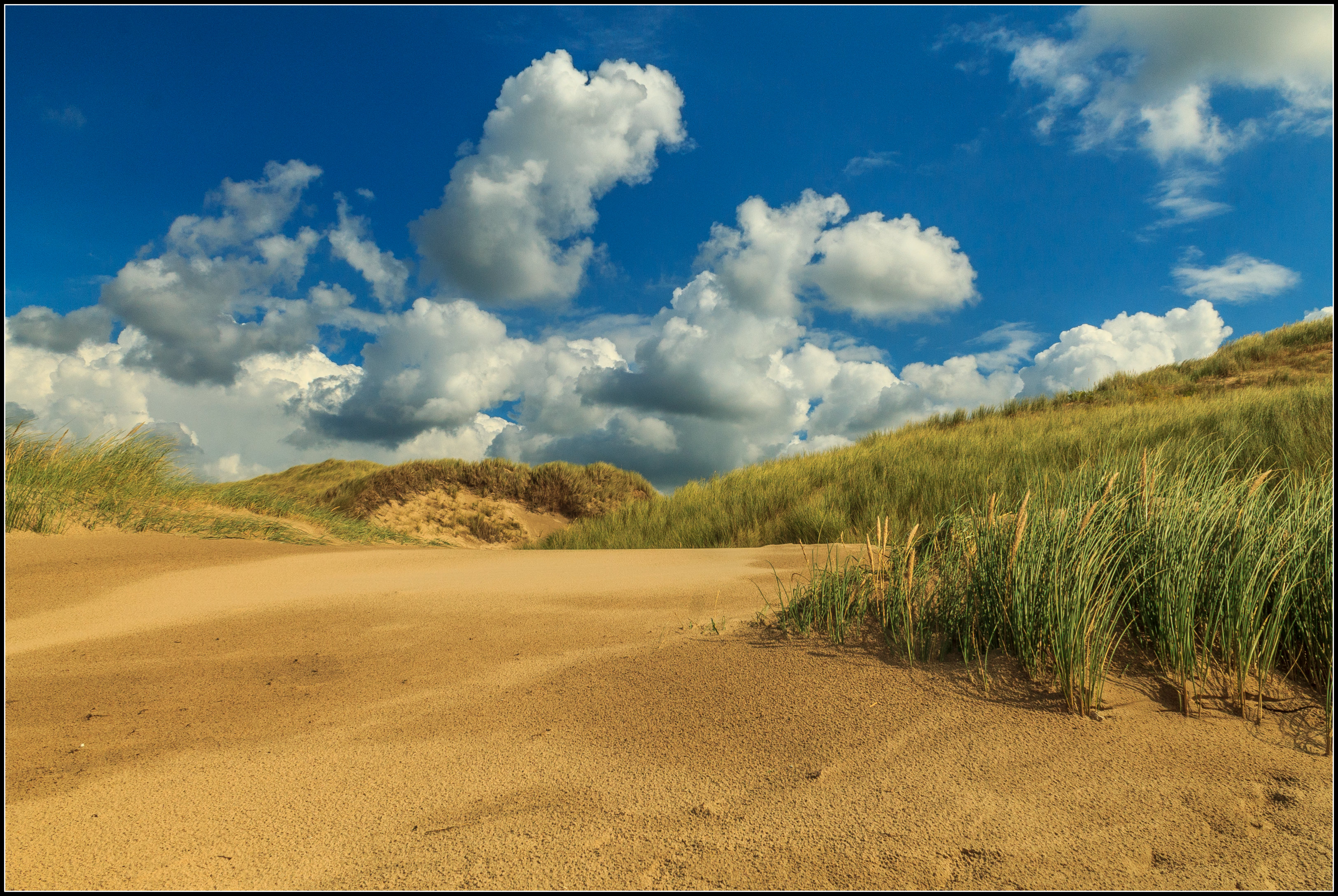 Duinen.
