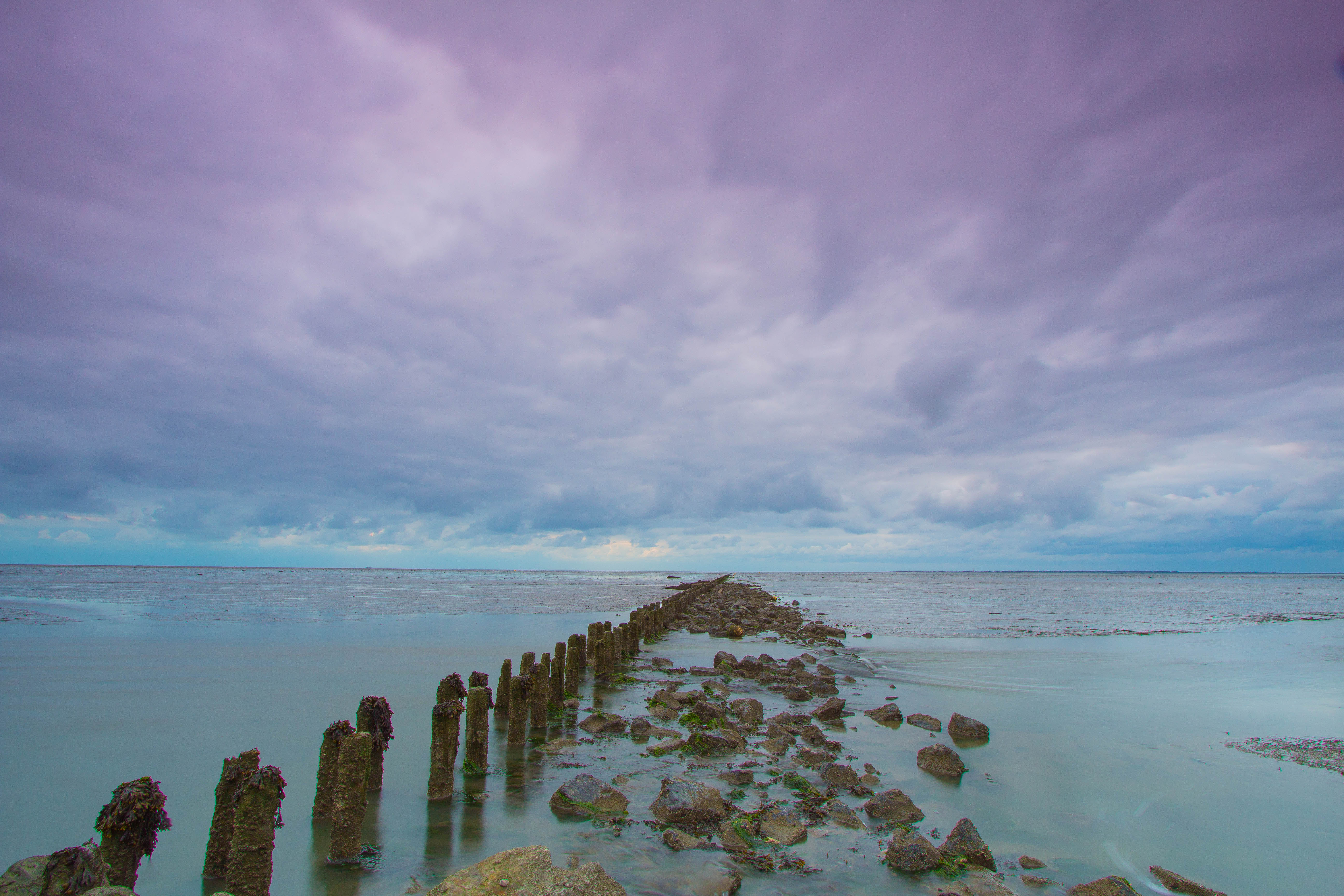 het wad