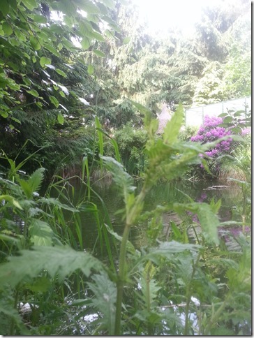 tuin