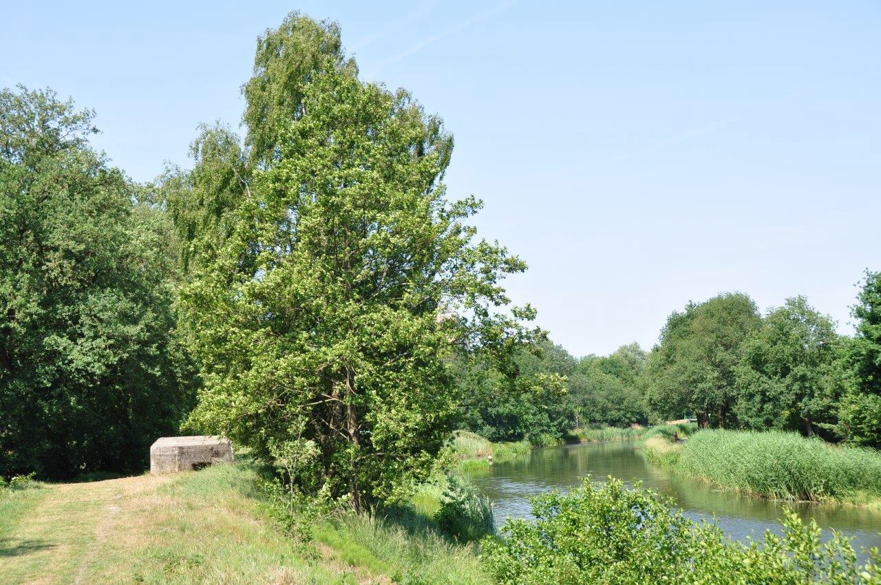Valleikanaal