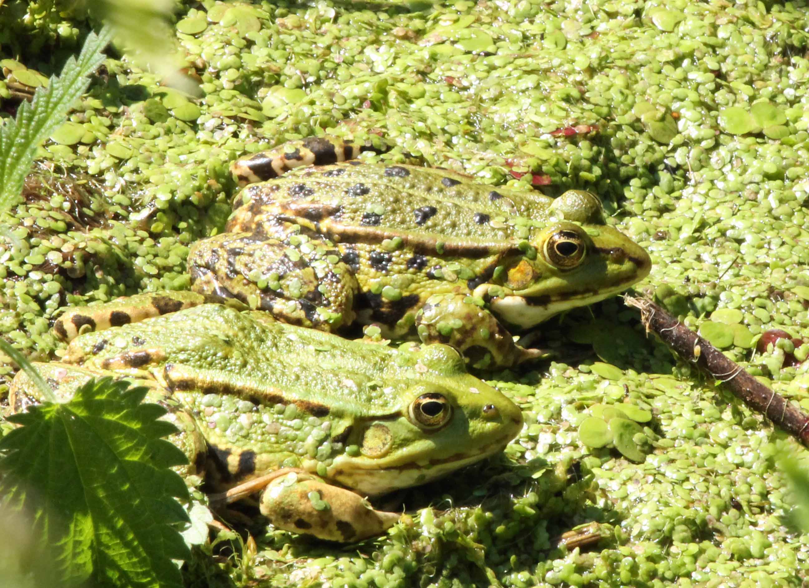 Klaar voor de start?