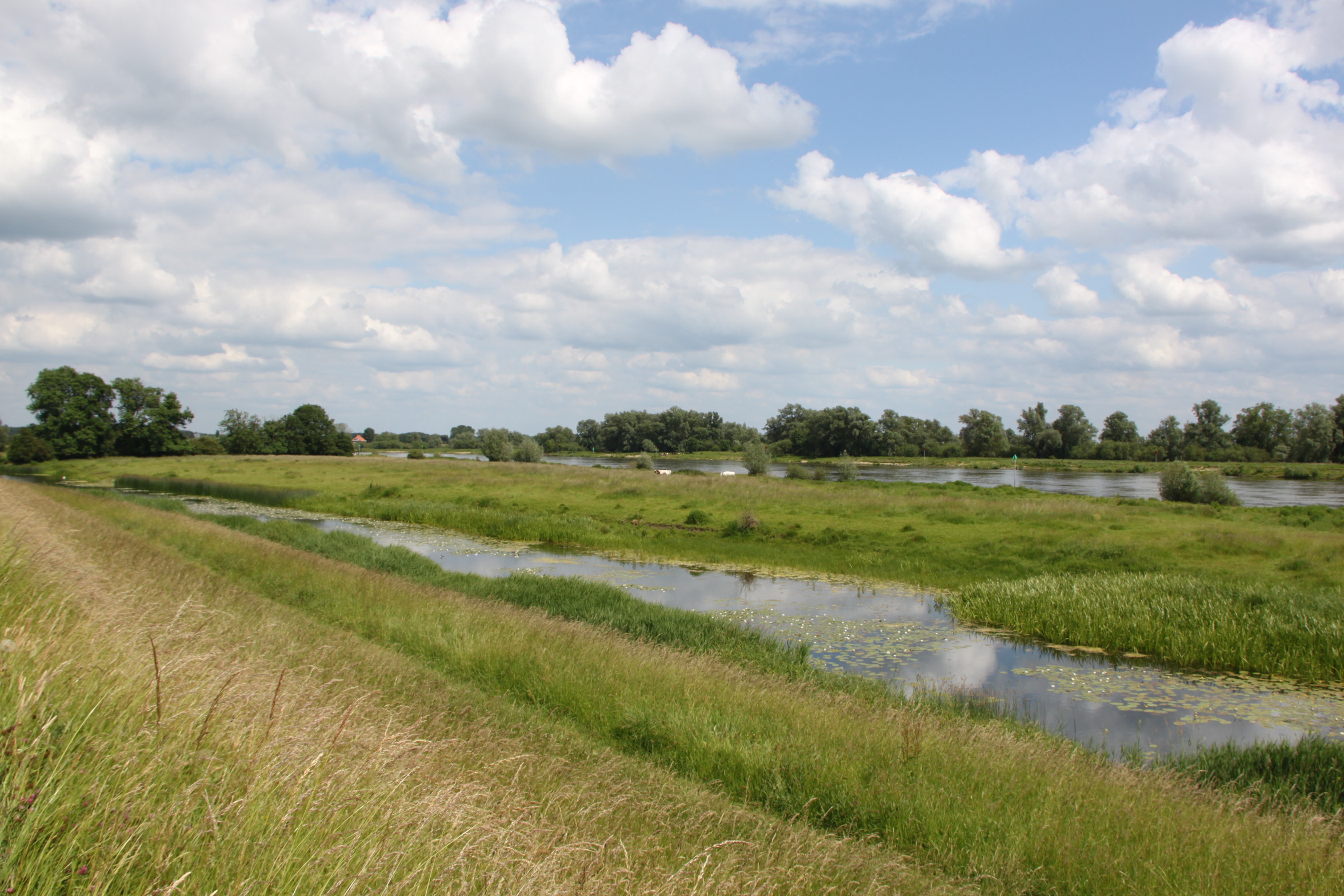 IJssel met nevengeulen