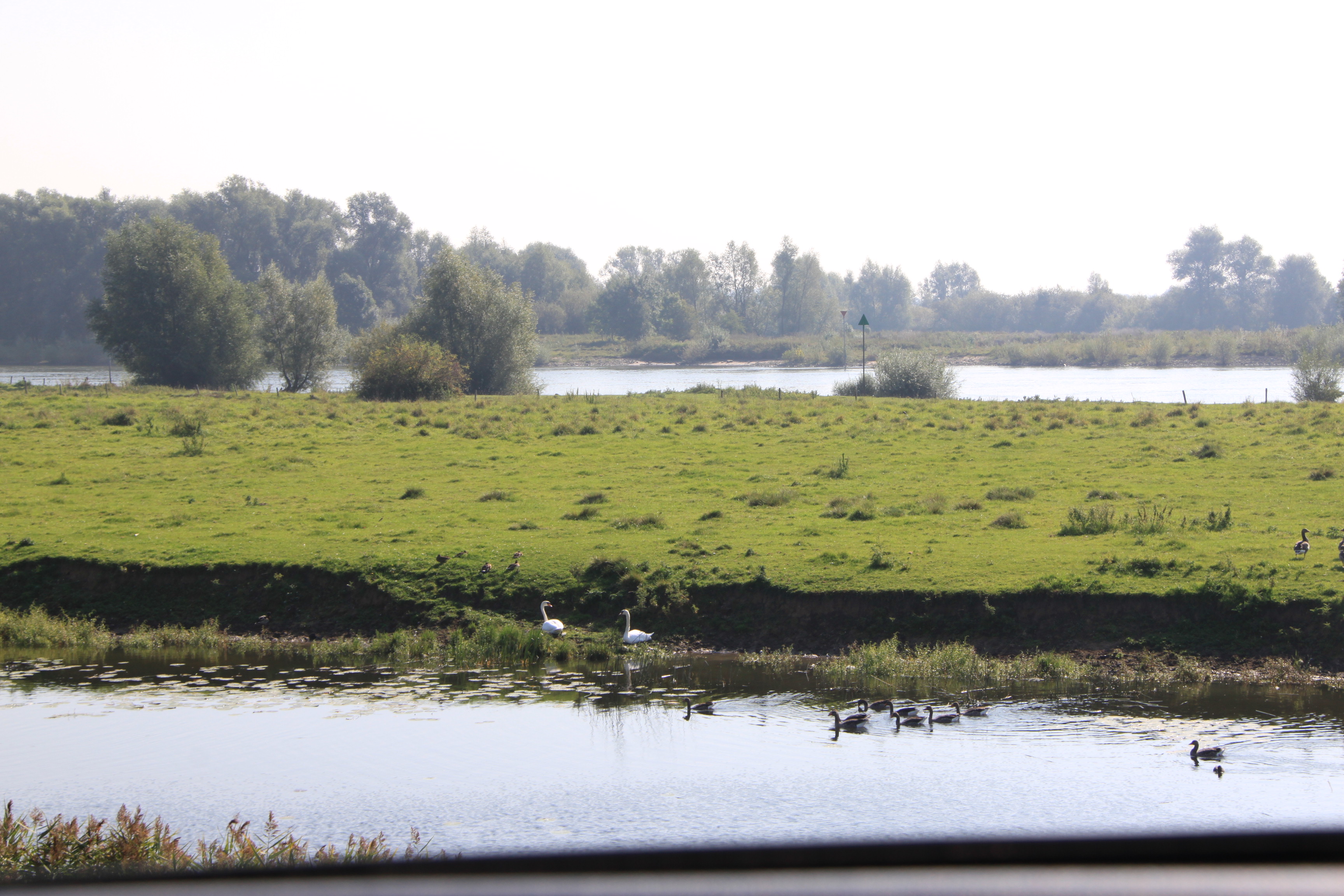 IJssel