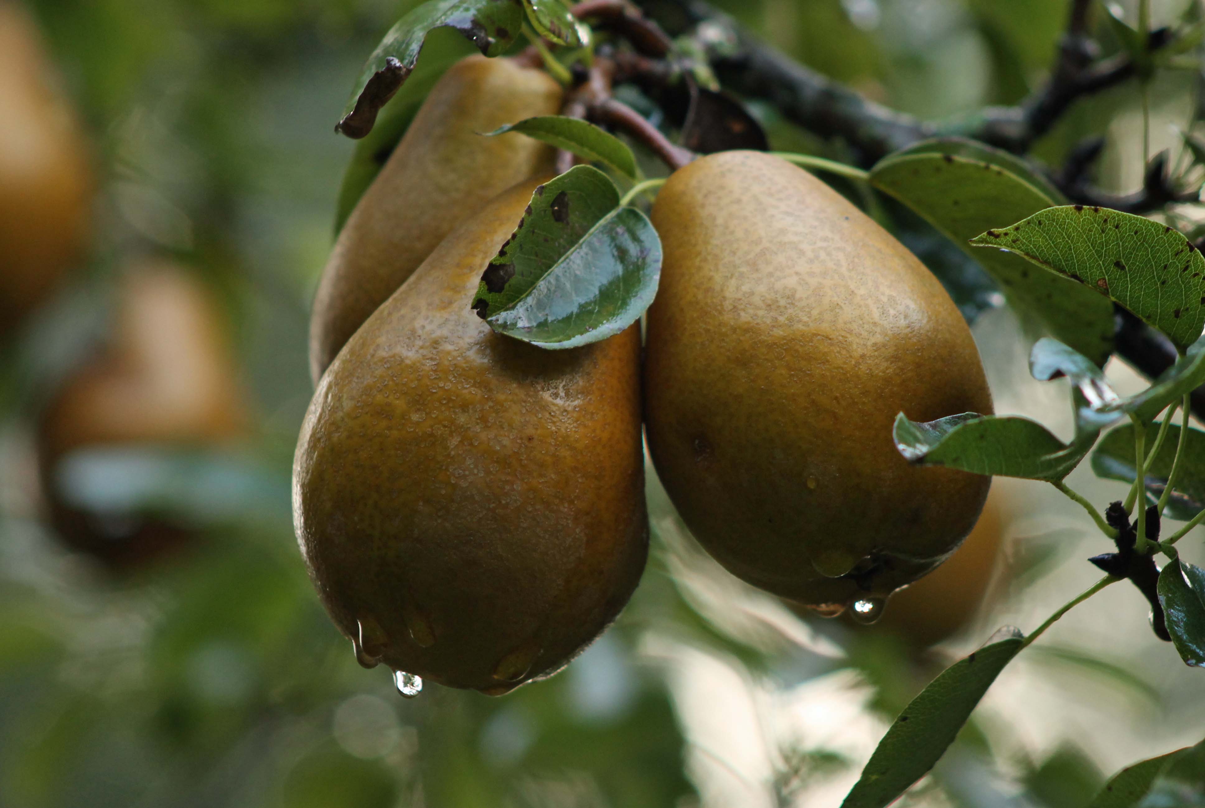 Tussen de buien door