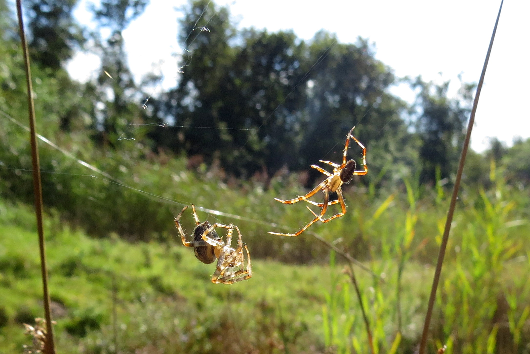 Voorzichtigheid geboden!
