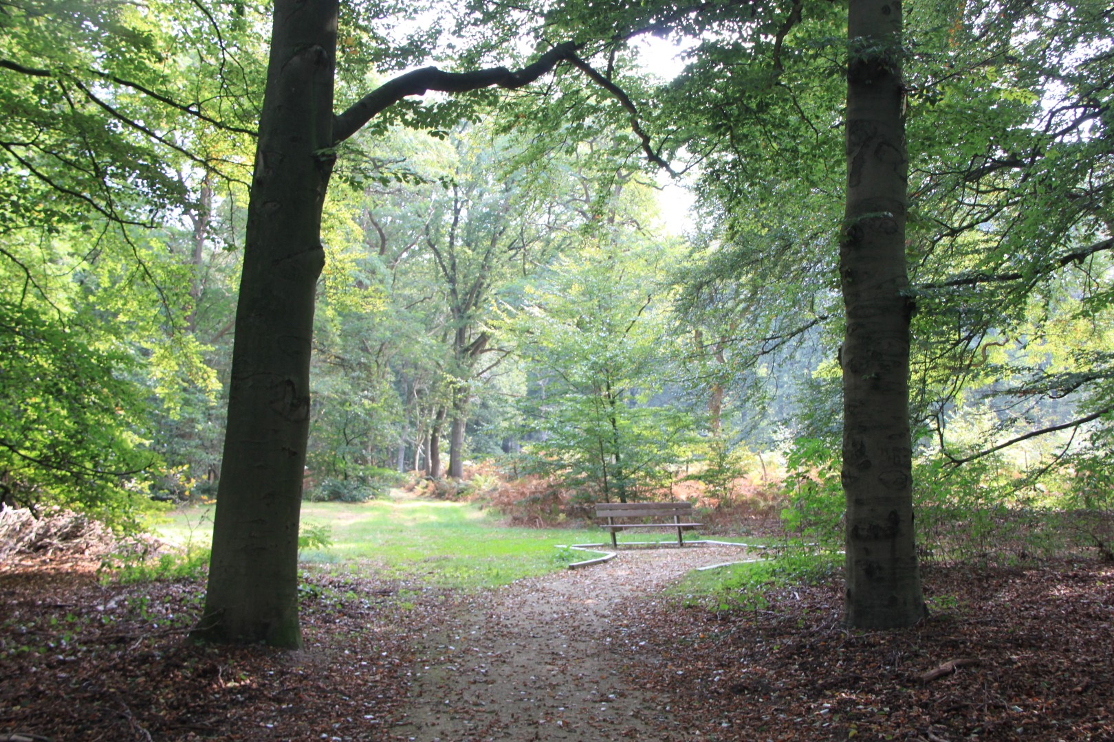 Landgoed Oud Groevenbeek