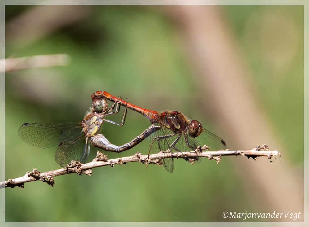 Standje ongemakkelijk !