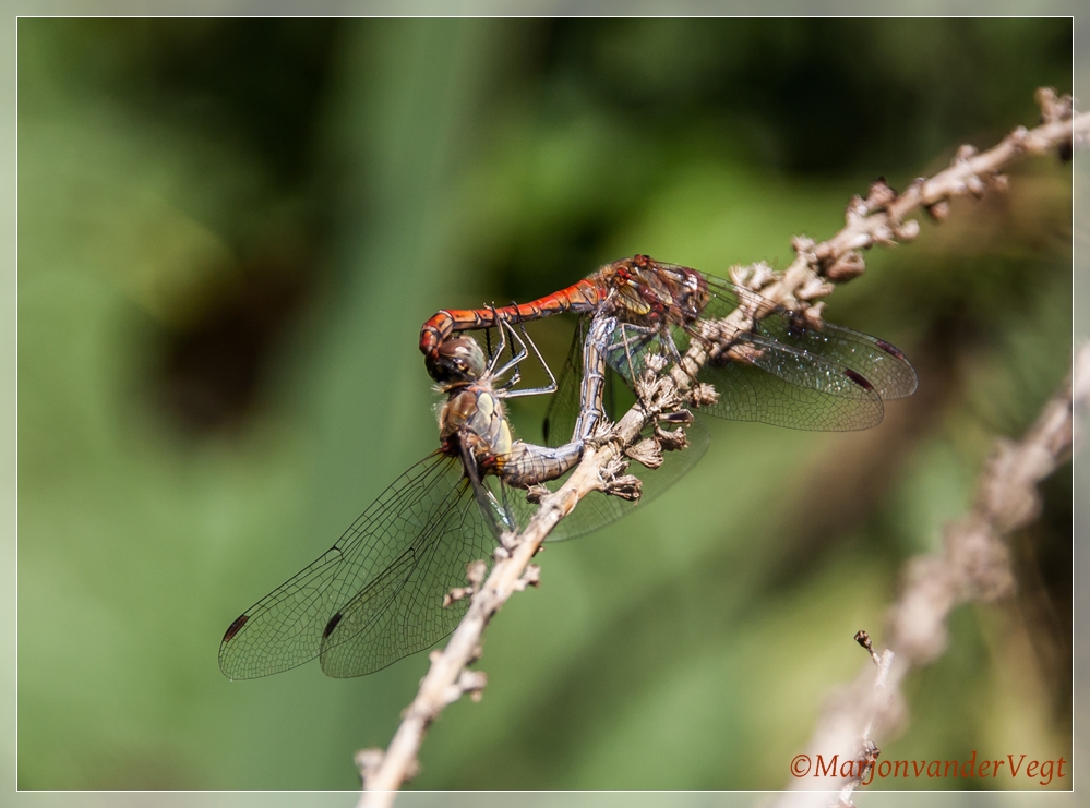 Standje ingewikkeld :D