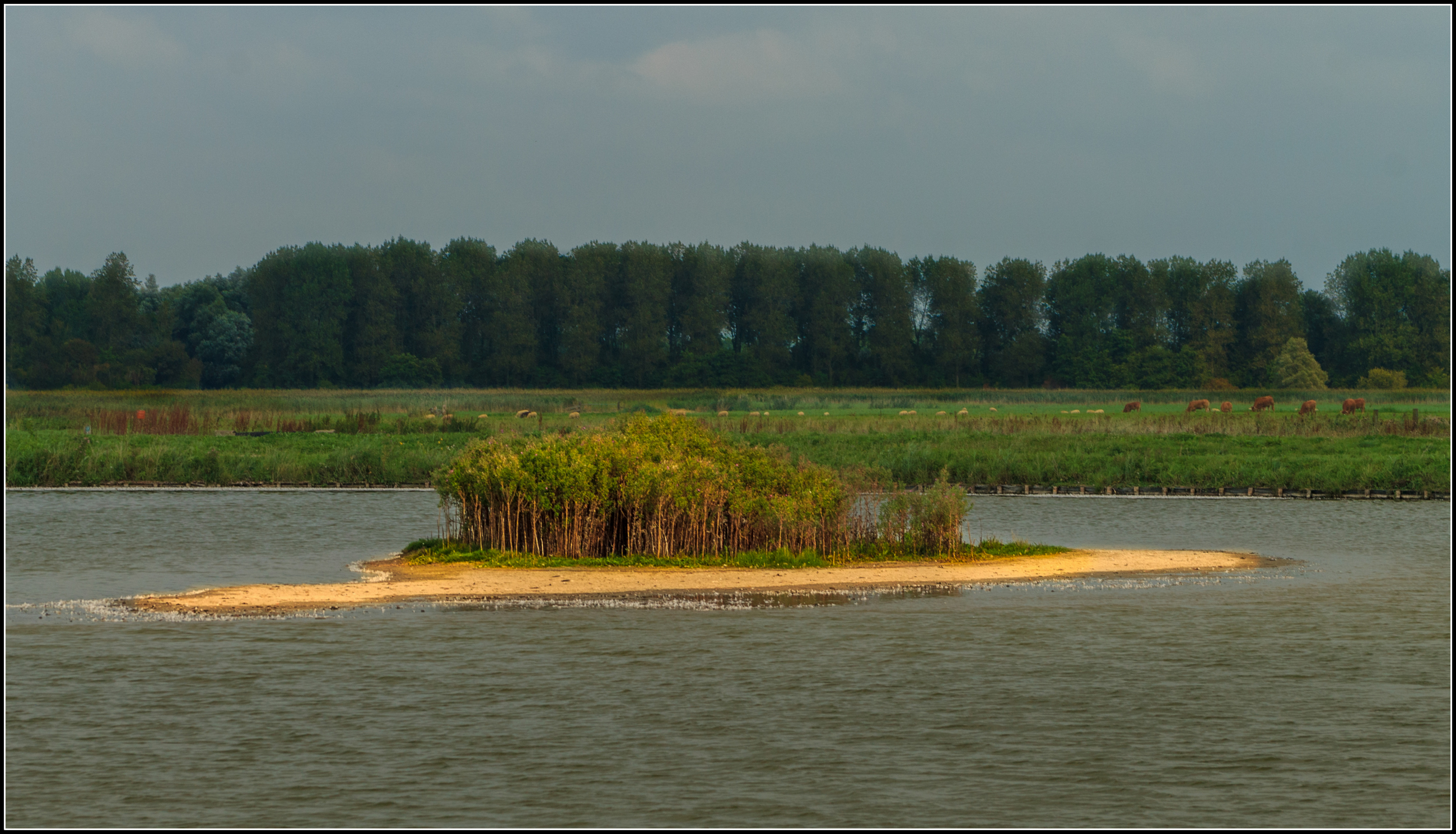 Mini tropisch eiland.