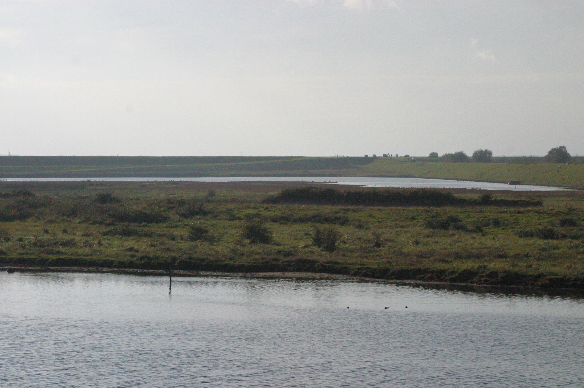 Natuur na watersnood