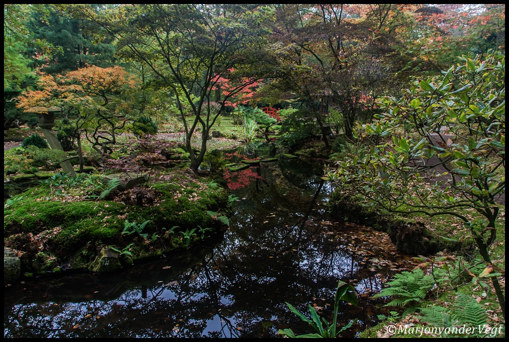 Japanse tuin in de Herfst