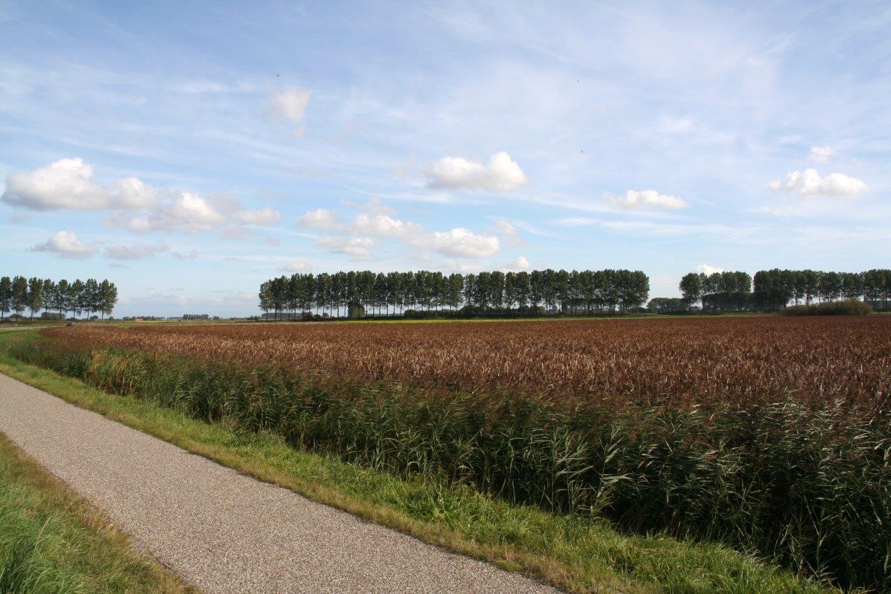 In Zeeland