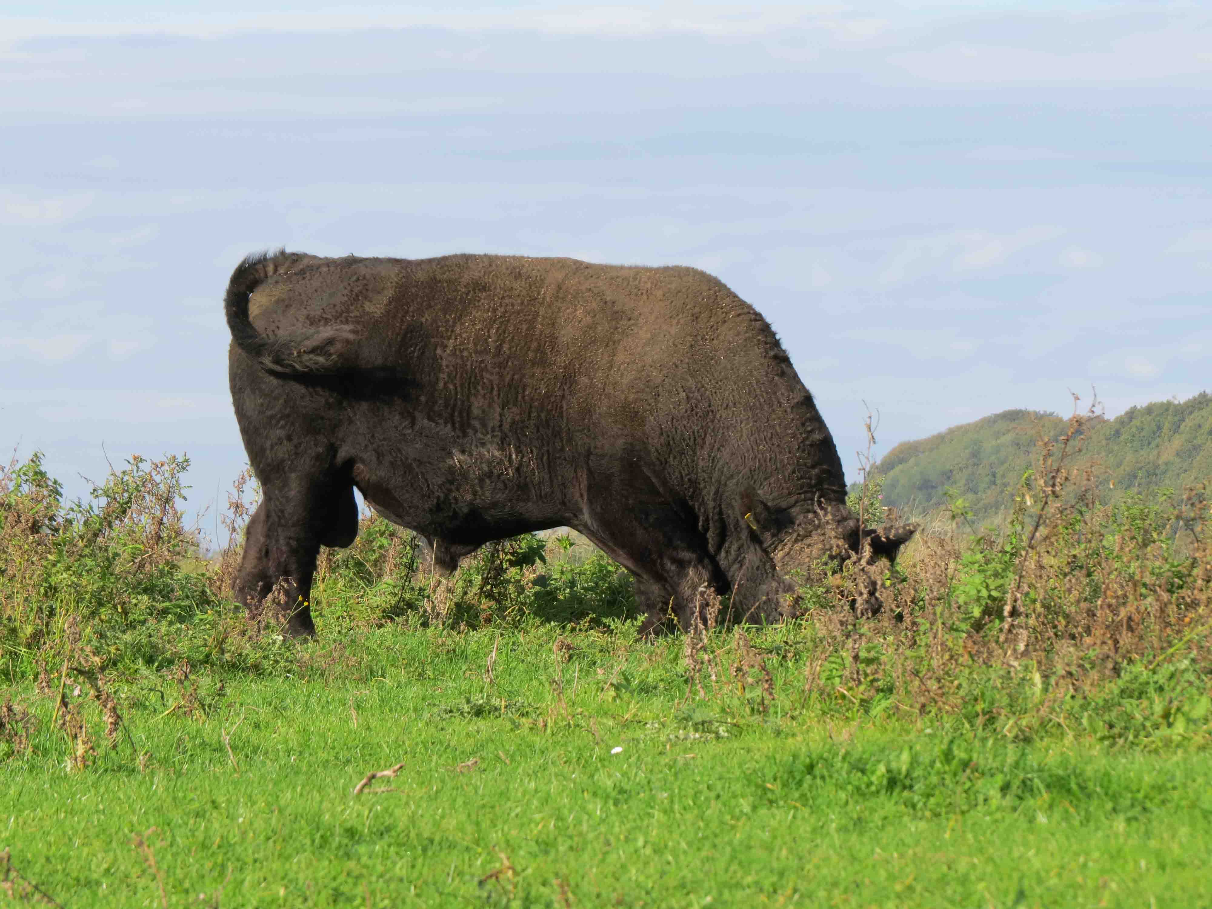 Waar had ik het nu verstopt?